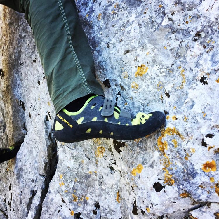 La Sportiva Tarantula Climbing Shoes Review