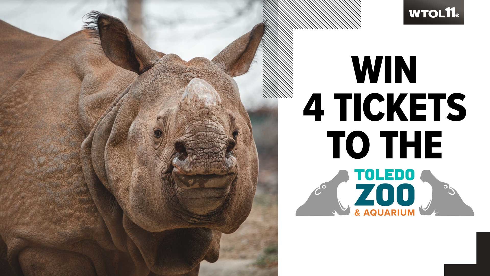 Toledo Zoo Membership Promo Code 2024 Tabby Shayna