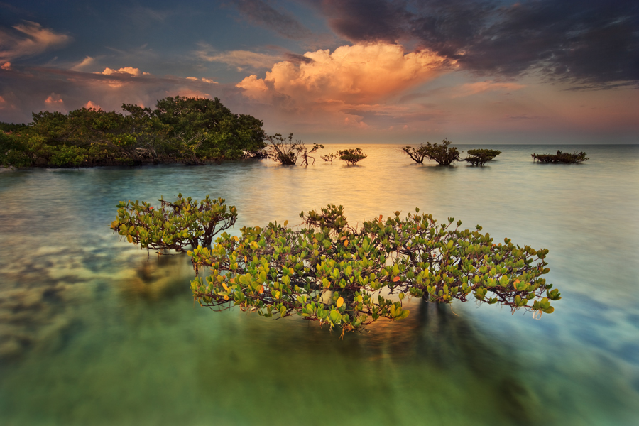 The united states is home to 58 national parks, each with its own unique beauty and landscape. Underwater Wilderness Biscayne National Park Atlanta Magazine