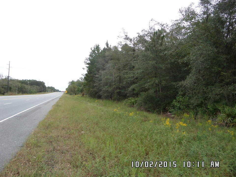 Land for Sale 13.0 acres Hwy 84 , Wayne County,