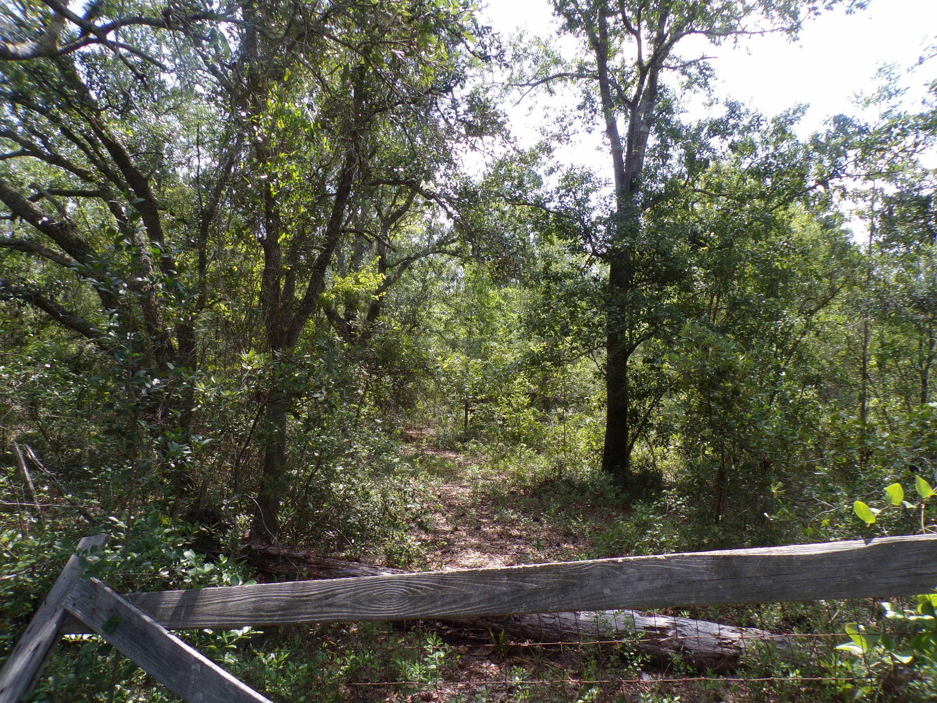 Land for Sale 11.464 acres Manningtown Rd, Wayne County,