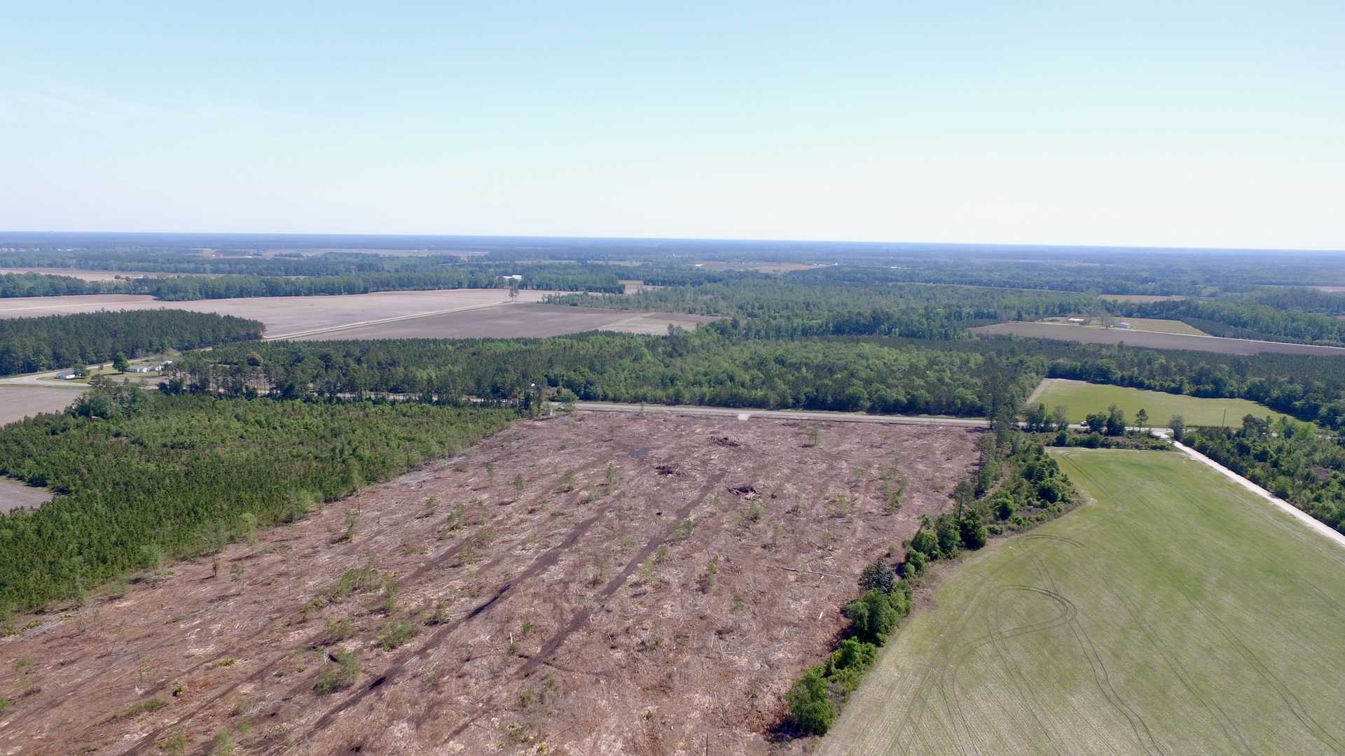 Land for Sale 28.83 acres 0 Blackshear Hwy, Appling County,