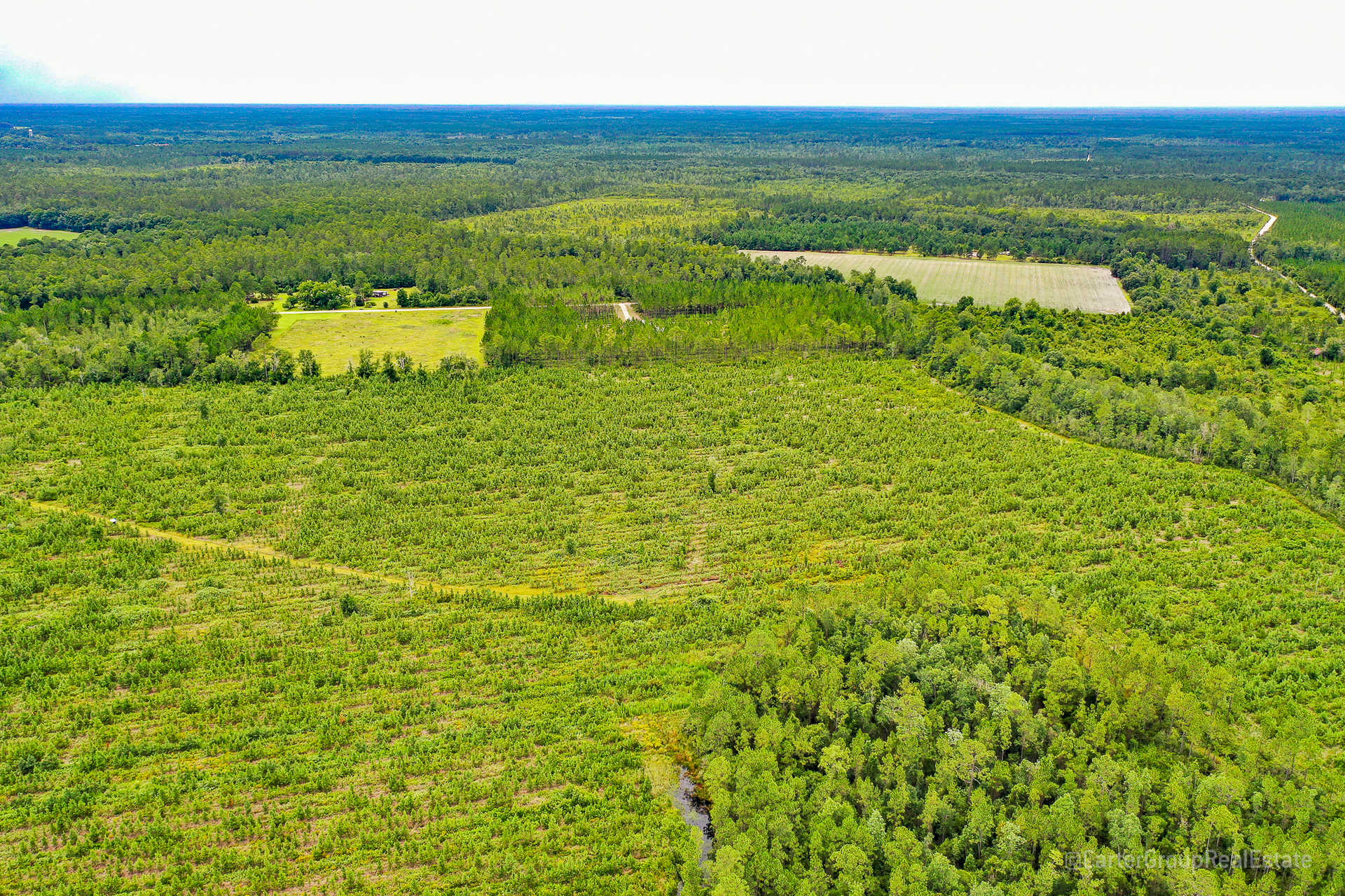 Land for Sale 58.0 acres 0 Suwannee Chapel Rd, Ware County,