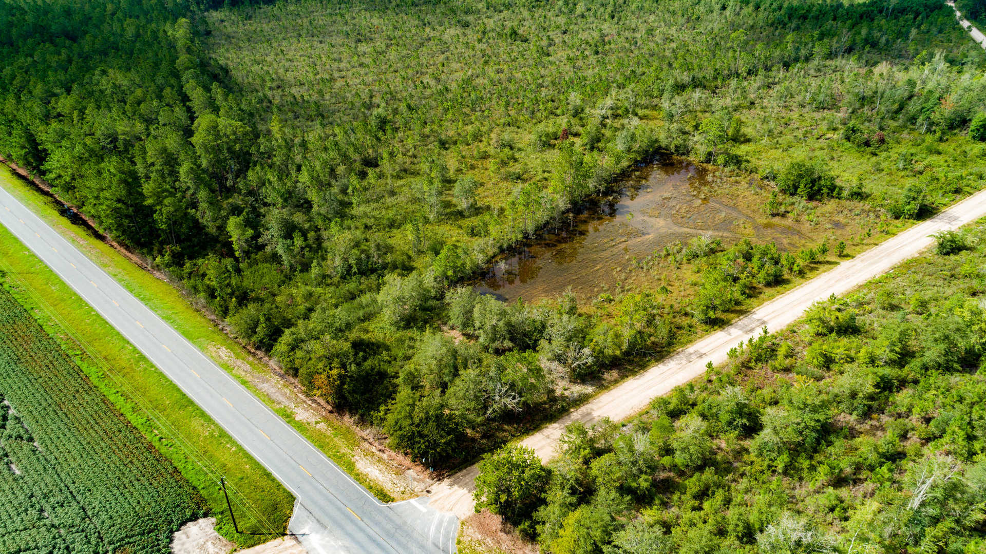 Land for Sale 12.0 acres 0 Byrd Rd, Appling County,