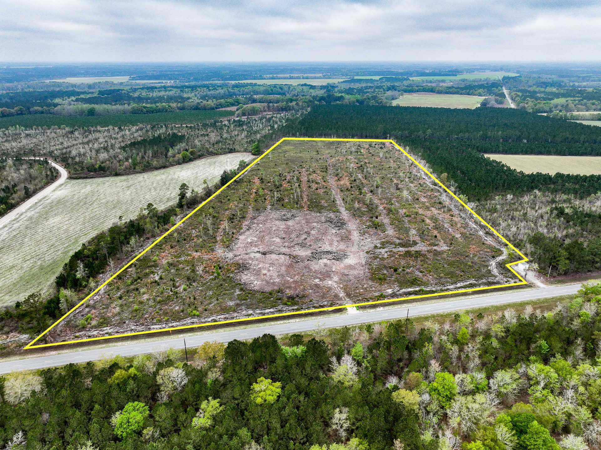 Land for Sale 28.83 acres 28 acres Blackshear Highway, Appling