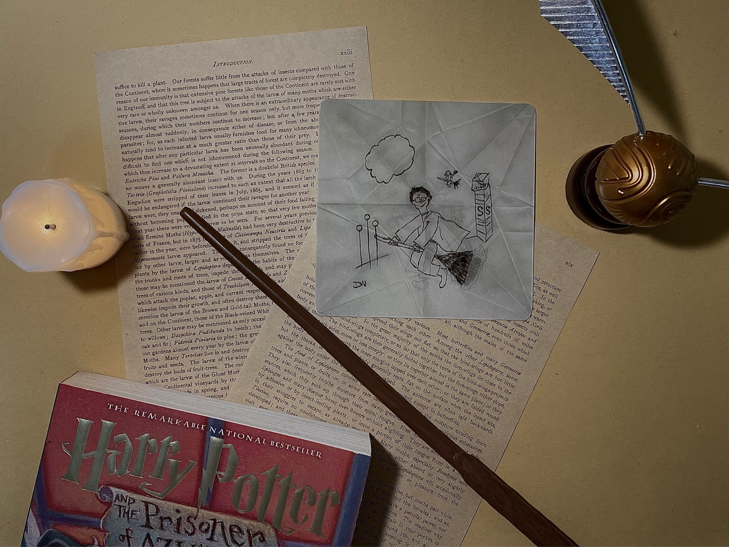 𝐃𝐫𝐚𝐜𝐨’𝐬 𝐍𝐨𝐭𝐞 콜리(Colley)