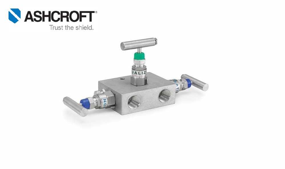 Ashcroft V01 3 Valve Remote Mount Manifold (Silver) Online at Best