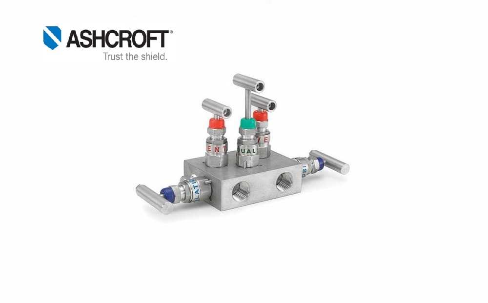 Ashcroft V01 5 Valve Remote Mount Manifold (Silver) Online at Best