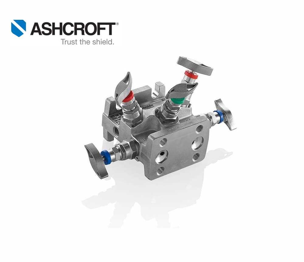 Ashcroft V02 5 Valve Direct & Remote Mount Manifold (Silver) Online