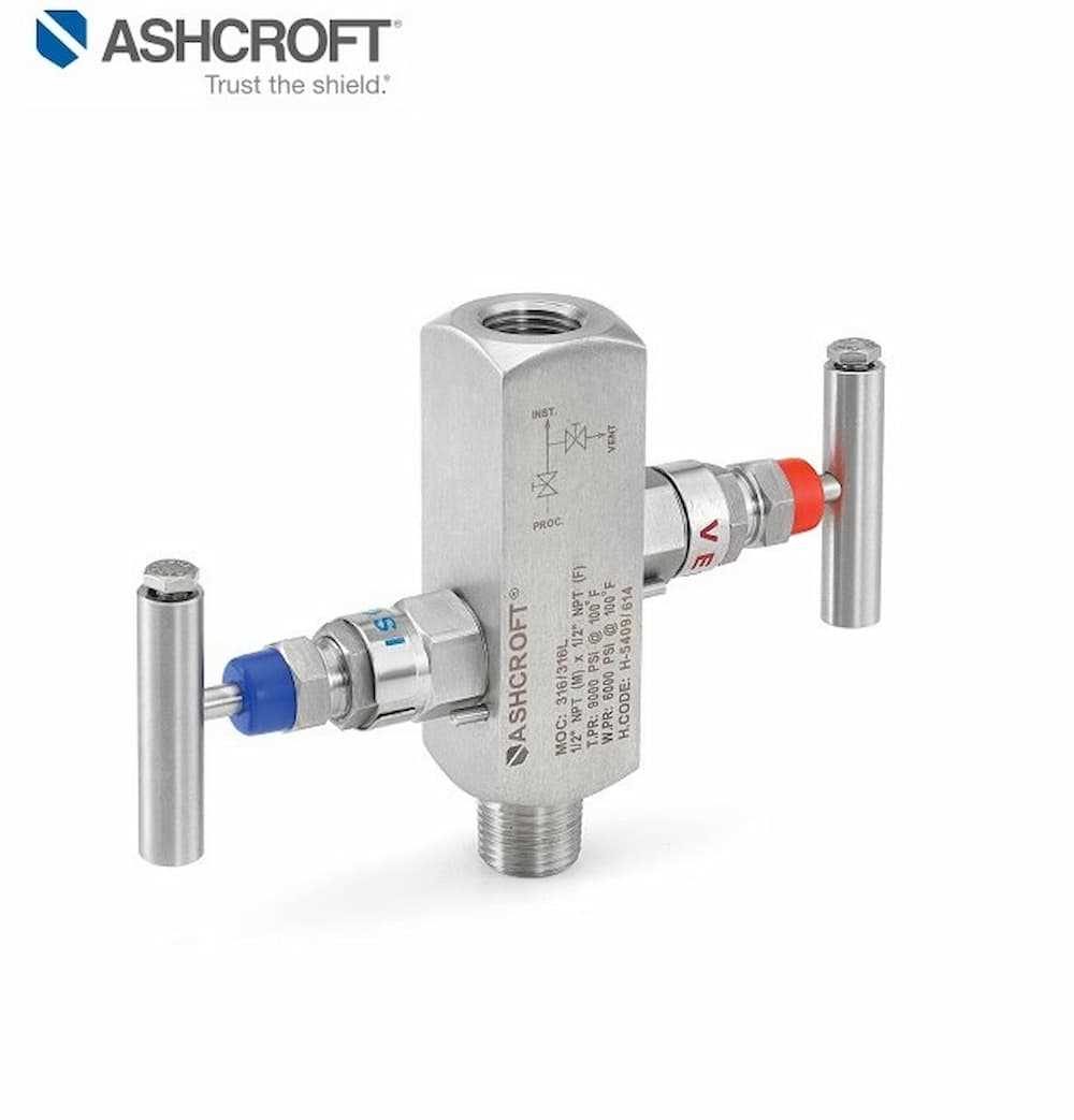 Ashcroft 2 Valve Manifold Block & BleedV01 (Silver) Online at Best