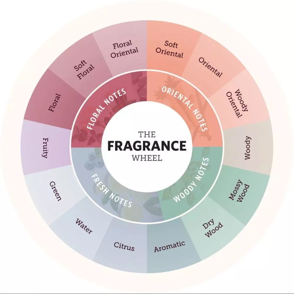 Perfumes 101 Your Guide To All Types Of Perfumes Fabbon