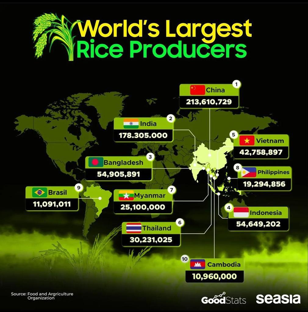 Visualizing The World’s Biggest Rice Producers Seasia.co