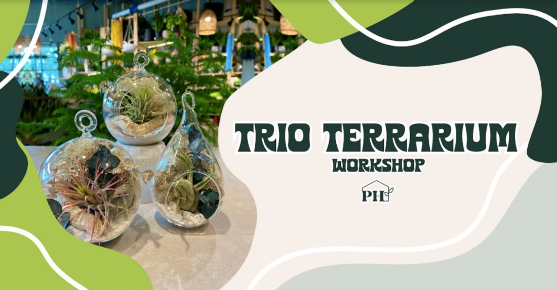 Trio Terrarium PlantHouse, Charlotte, NC March 31, 2022