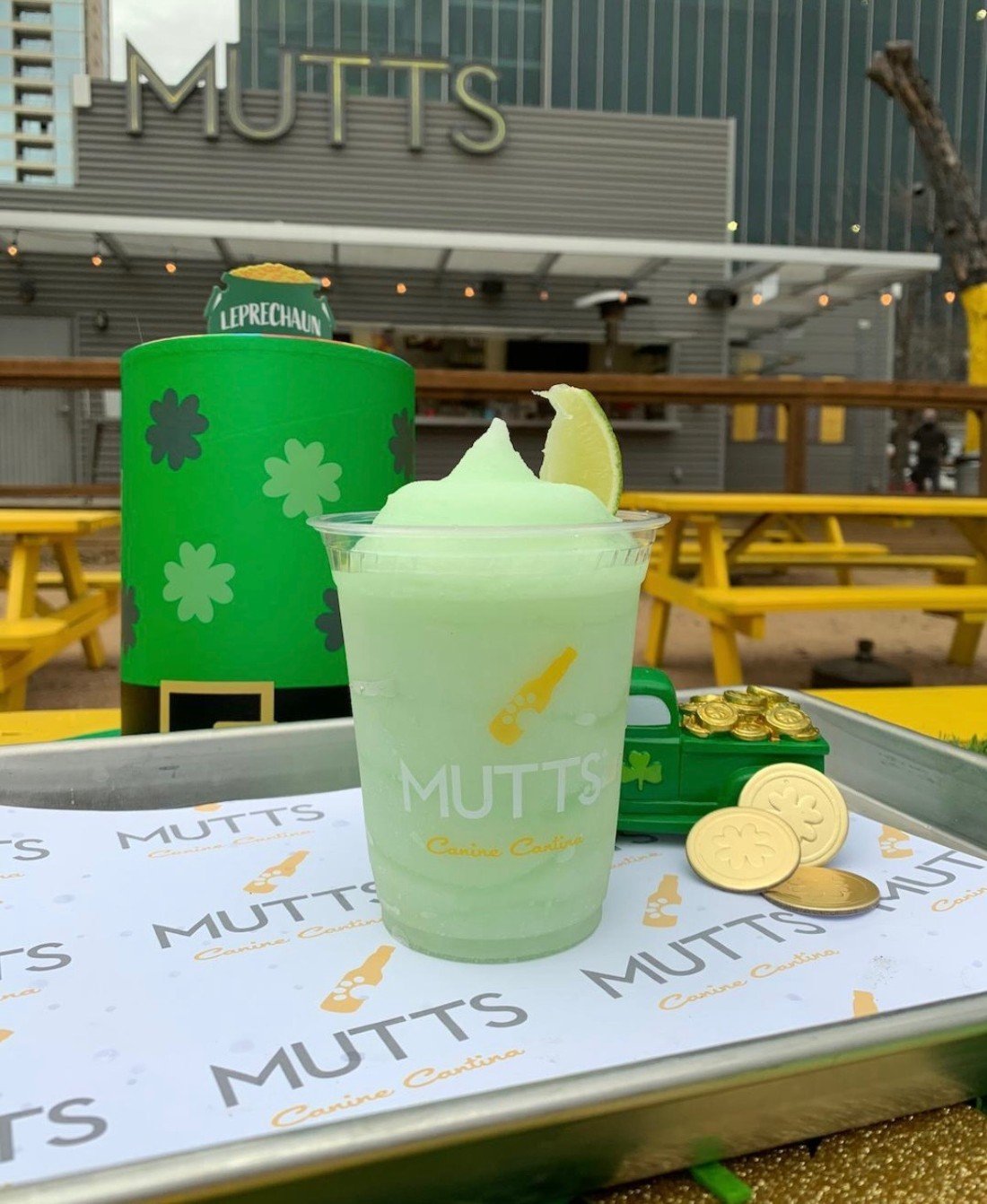 Dig for Gold MUTTS Canine Cantina’s St. Pawtrick’s Day Event! MUTTS