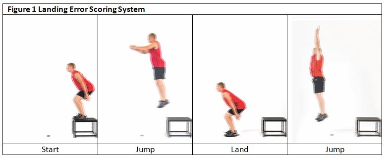 Modified Landing Error Scoring System and Noncontact ACL Injury