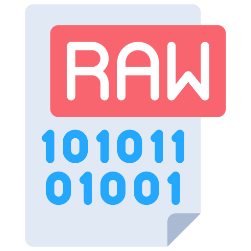 Raw, data, file, analytical, document icon Download on Iconfinder