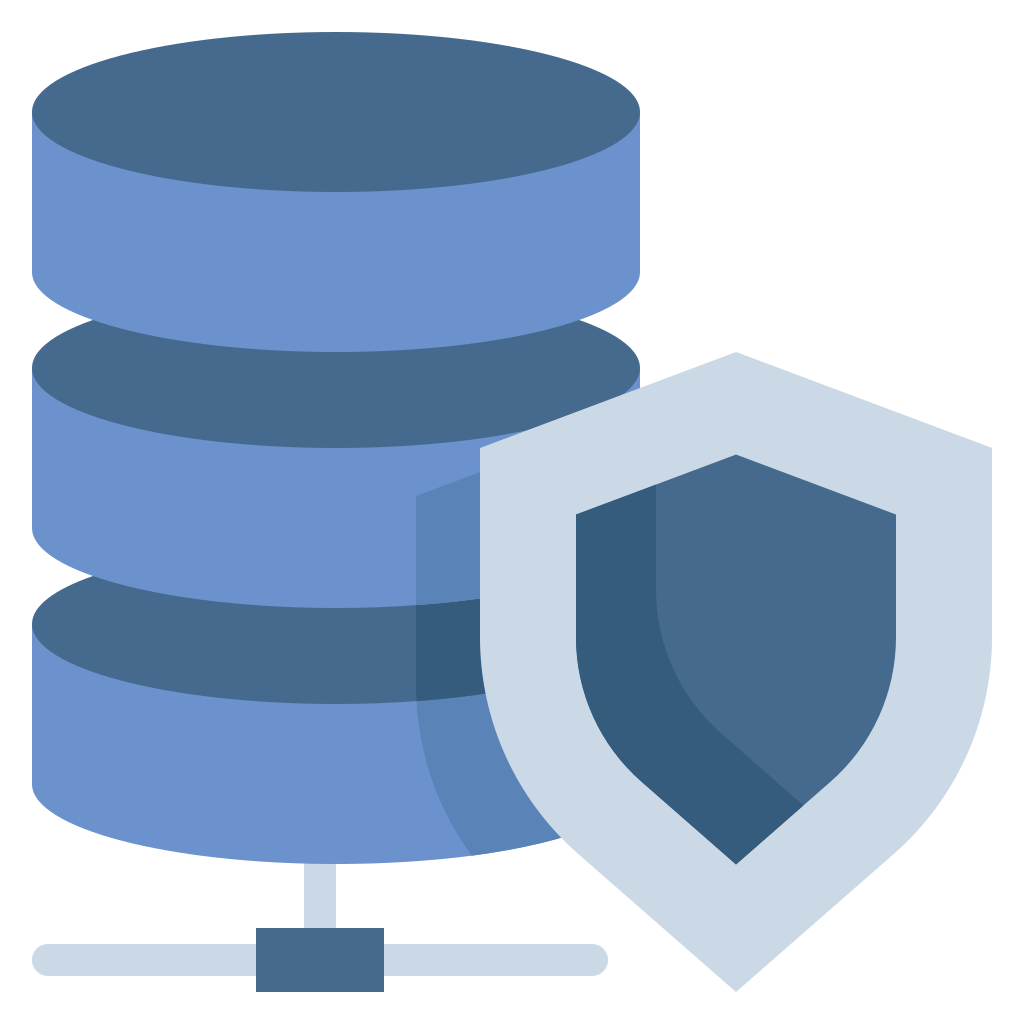 Data, database, protect, shield, storage icon, protection icon