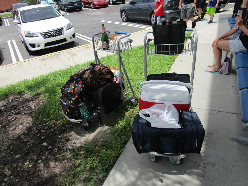 Carry on luggage Amtrak Unlimited Discussion Forum