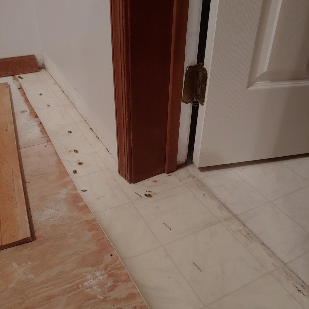 Removing vinyl sheet from under door jambs? Flooring Forum DIY