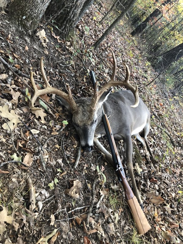 Arkansas Buck The Muzzleloading Forum