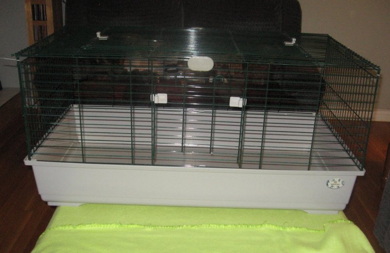 Marchioro large "rabbit" cage The Rat Shack Pet Rat Forum