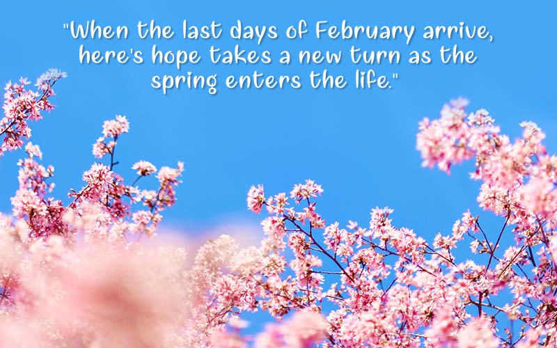February Quotes And Sayings For Calendars