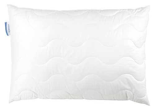 Kudde 1500G Engvik 70X100 | Jysk