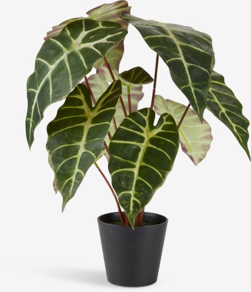 Artificial plant MARIUS D38xH42cm JYSK
