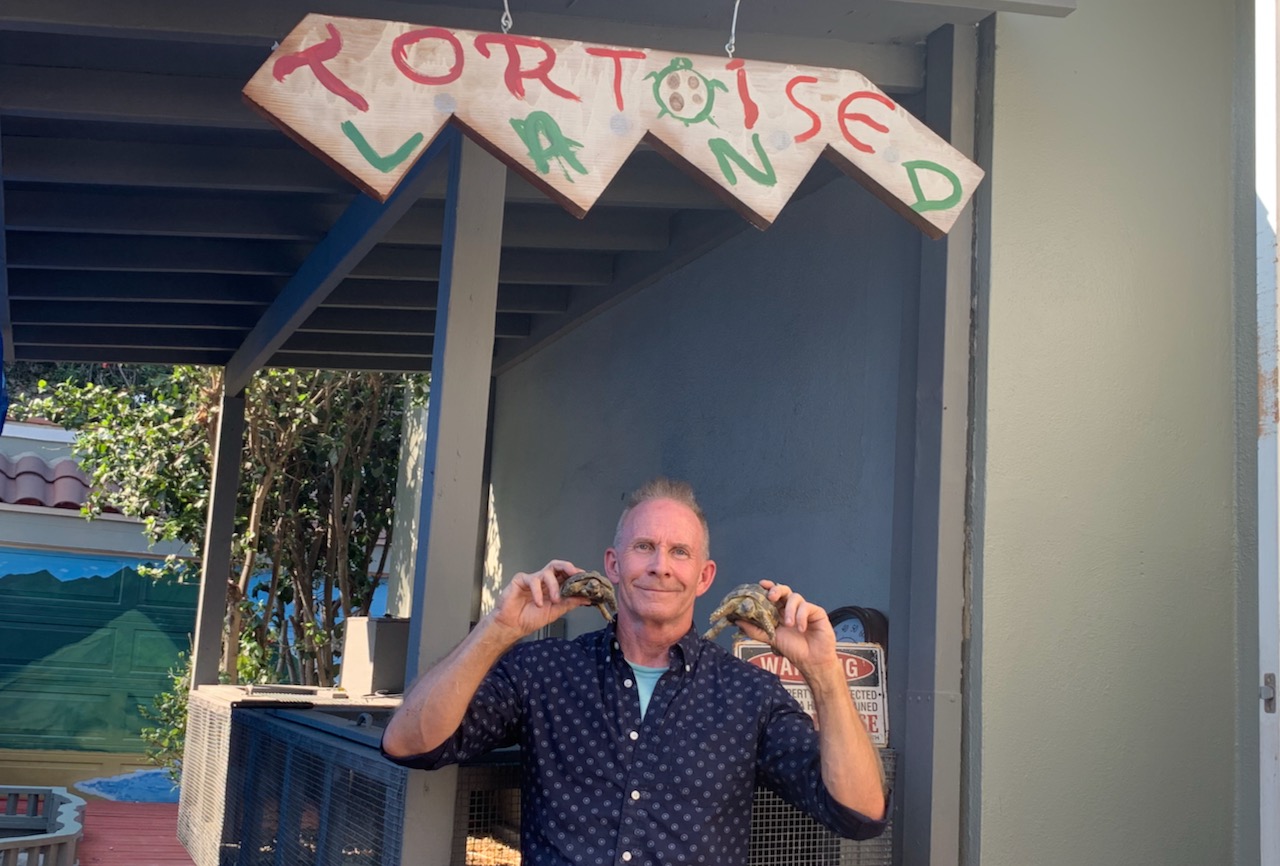 Meet Local Tortoise Rescuer Kevin Proulx Larchmont Buzz Hancock