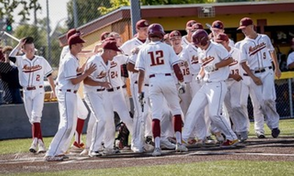 Cardinal Newman Sports Camps