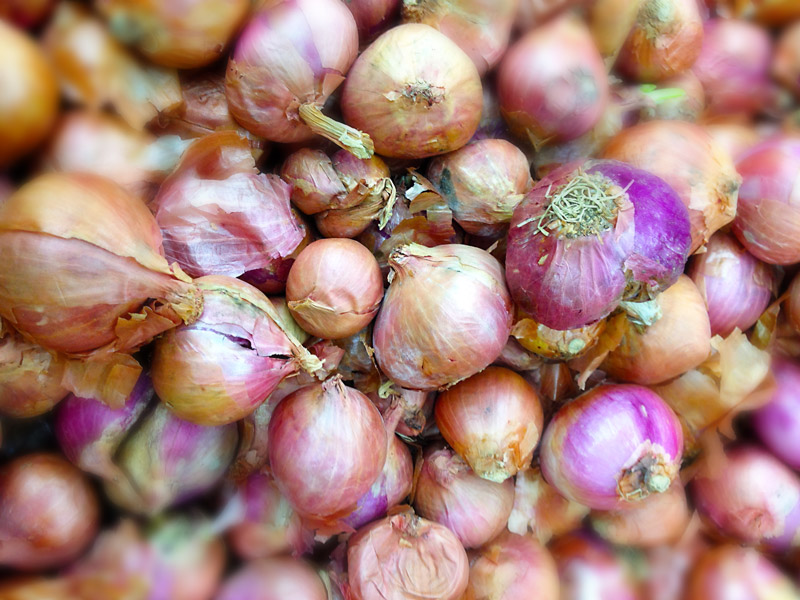 Shallots One of Many of Pho's Critical Ingredients Part 1