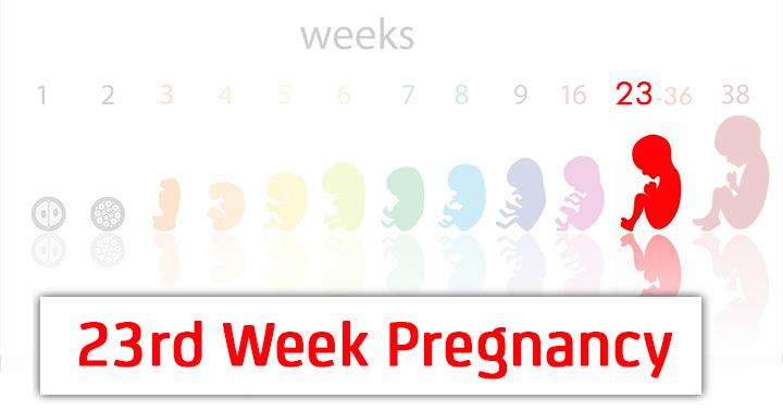 23rd Week Pregnancy Symptoms, Baby Development And Bodily Changes