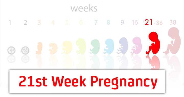 21 Weeks Pregnant Symptoms, Baby Development, Tips And Body Changes