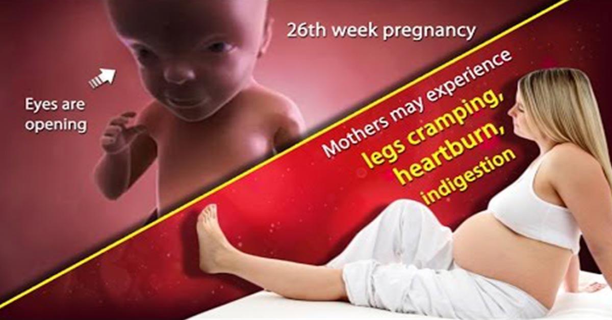 26th Week Pregnancy Symptoms, Baby Development, Tips And Body Changes