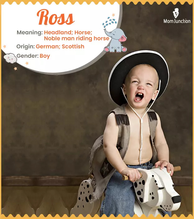 Ross Name Meaning, Origin, History, and Popularity MomJunction