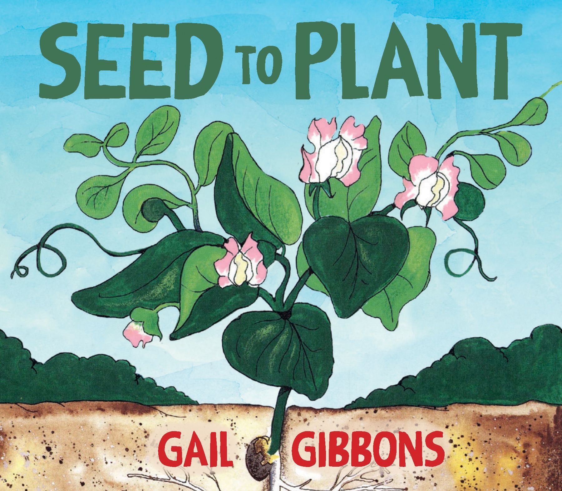 Seed to Plant by GAIL GIBBONS Penguin Books New Zealand