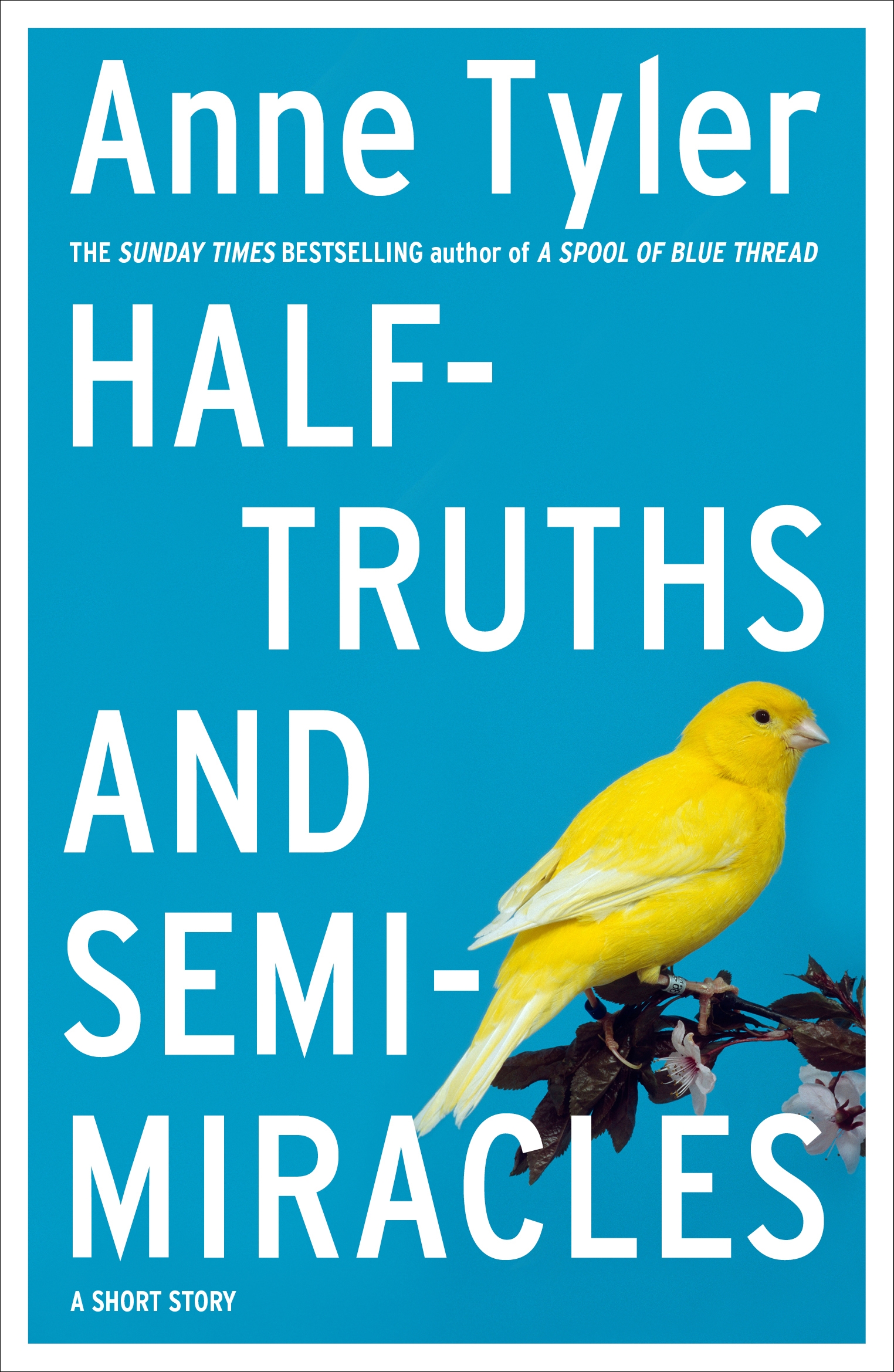 Halftruths and Semimiracles by Anne Tyler Penguin