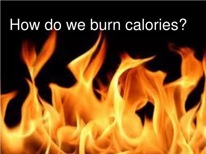 PPT How do we burn calories? PowerPoint Presentation, free download ID3928196