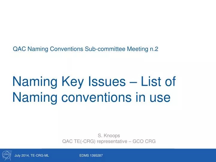 PPT Naming Key Issues List of Naming conventions in use PowerPoint
