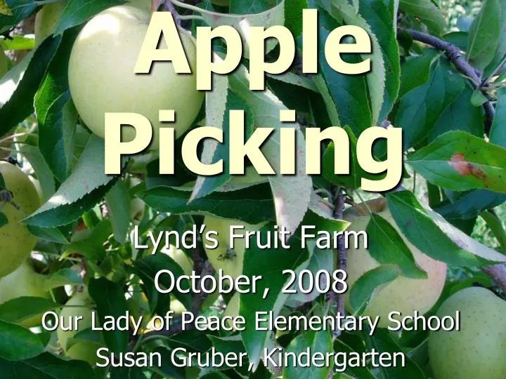 PPT Apple Picking PowerPoint Presentation, free download ID4236298
