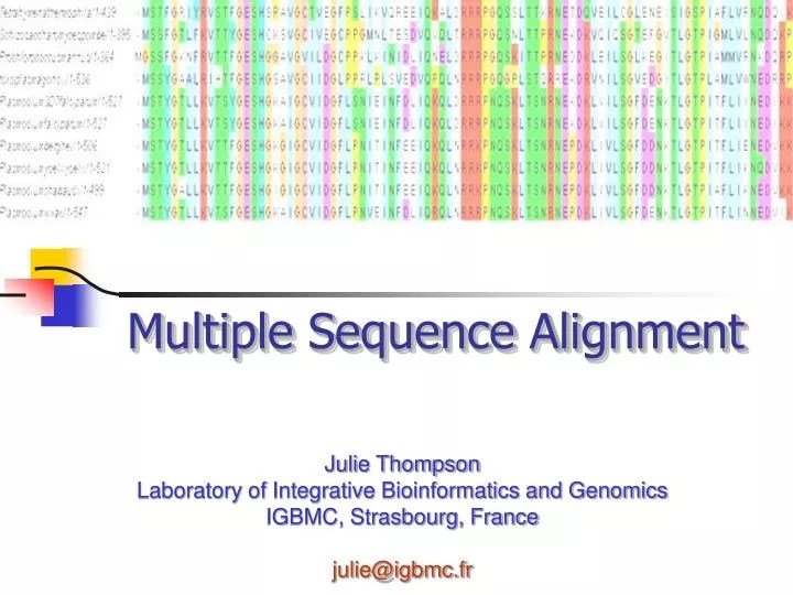 PPT Multiple Sequence Alignment PowerPoint Presentation, free