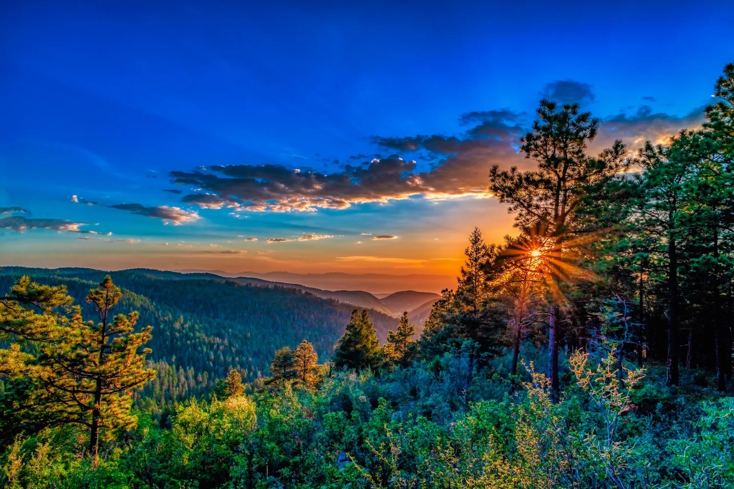Things to do in Cloudcroft, NM
