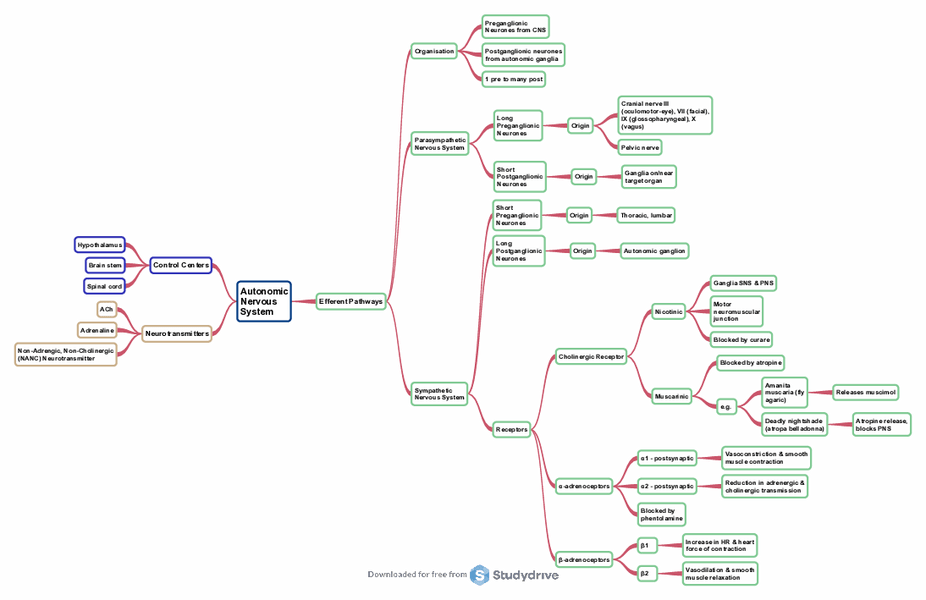 Autonomic Nervous System.pdf Free download