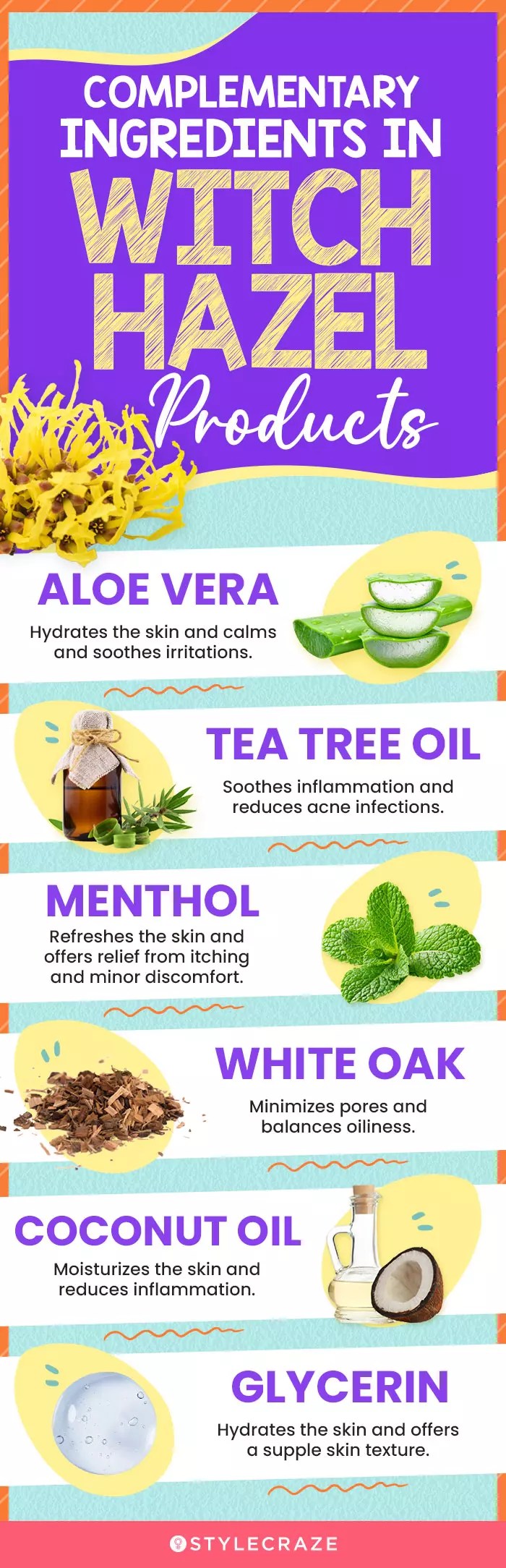 The 15 Best Witch Hazel Products Of 2025, As Per An Expert