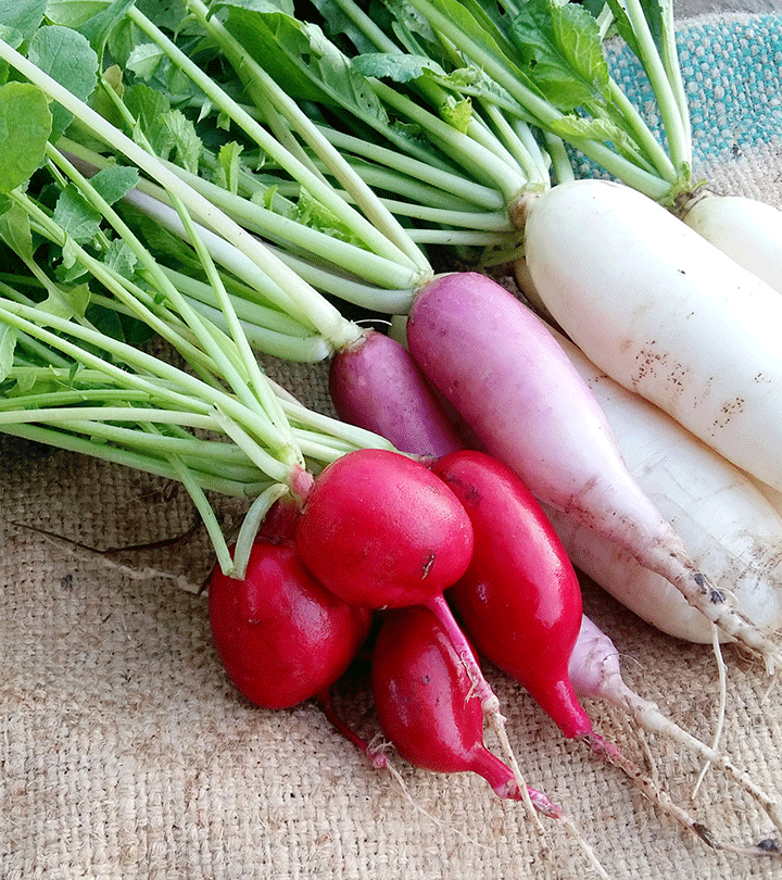 प्रेगनेंसी में मूली खाने के फायदे और नुकसान Radish During Pregnancy In