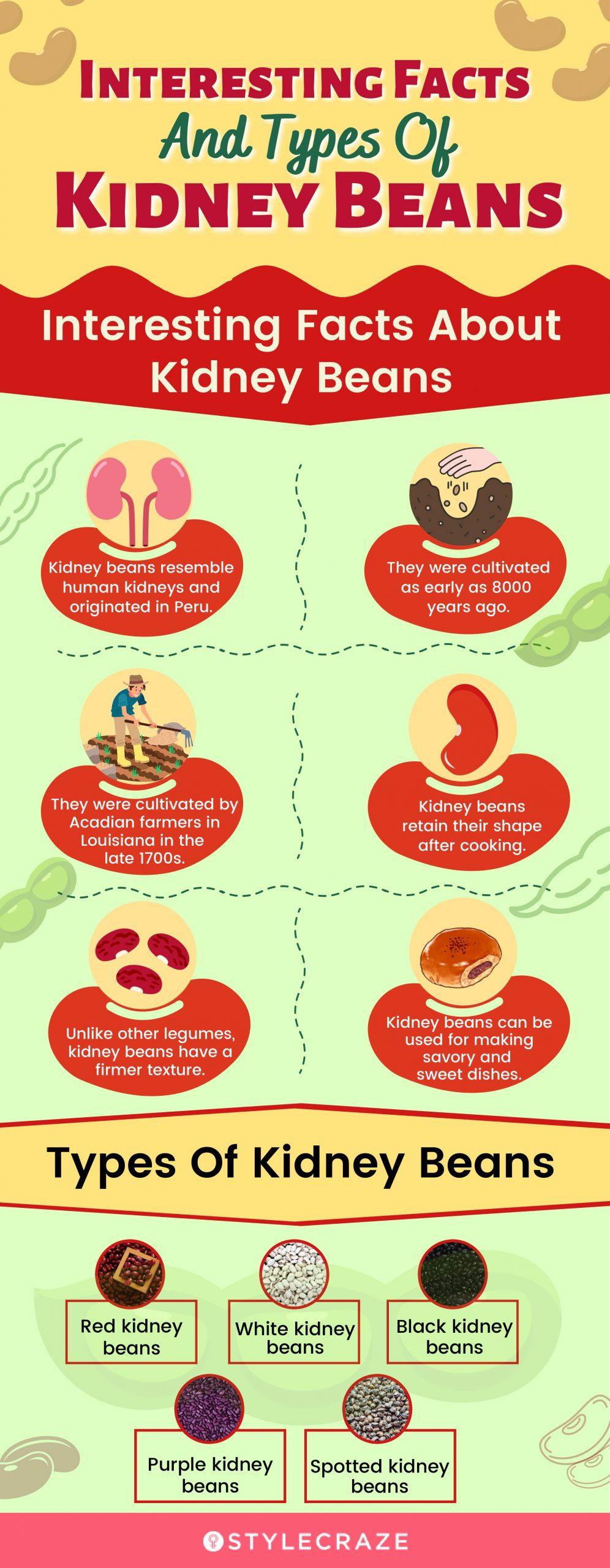 Top 8 Benefits Of Kidney Beans, Nutrition, And Side Effects