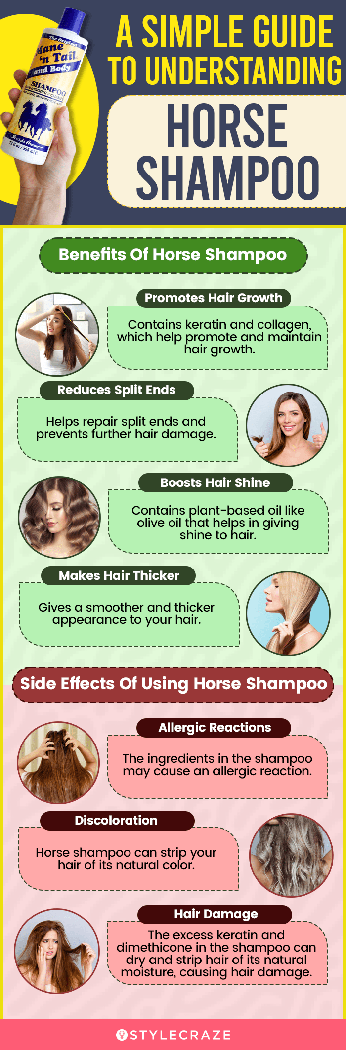 Horse Shampoo Benefits, Side Effects, And How To Use