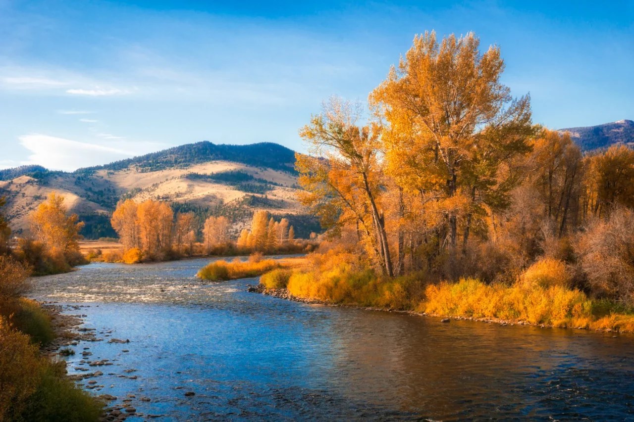 THE 5 BEST THINGS TO DO THIS FALL IN BOZEMAN, MONTANA The Scout Guide