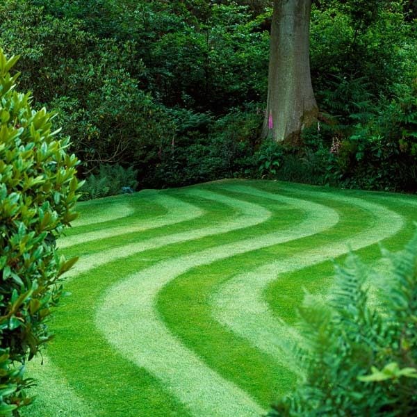 Top 10 Lawn Care Tips The Family Handyman