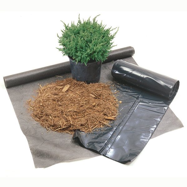 Top 10 Lawn Care Tips The Family Handyman